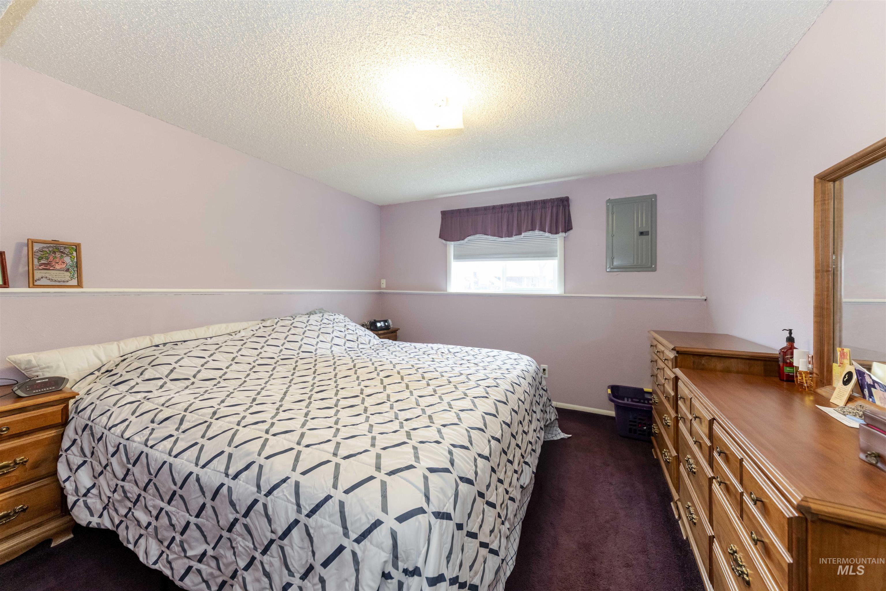 930 Preston Avenue Lewiston, ID 83501 - Photo 23 of 32 Bedroom with dark carpet, a textured ceiling, and electric panel