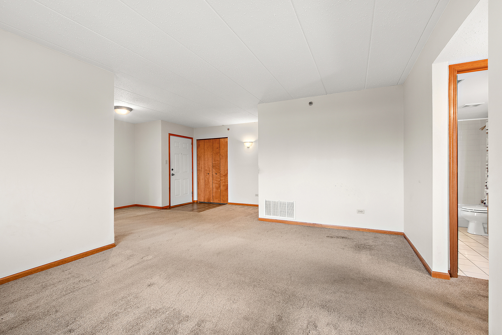10636 Ridgeland Avenue, Unit 2D Chicago Ridge, IL 60415 - Photo 5 of 18 Gallery Image 5