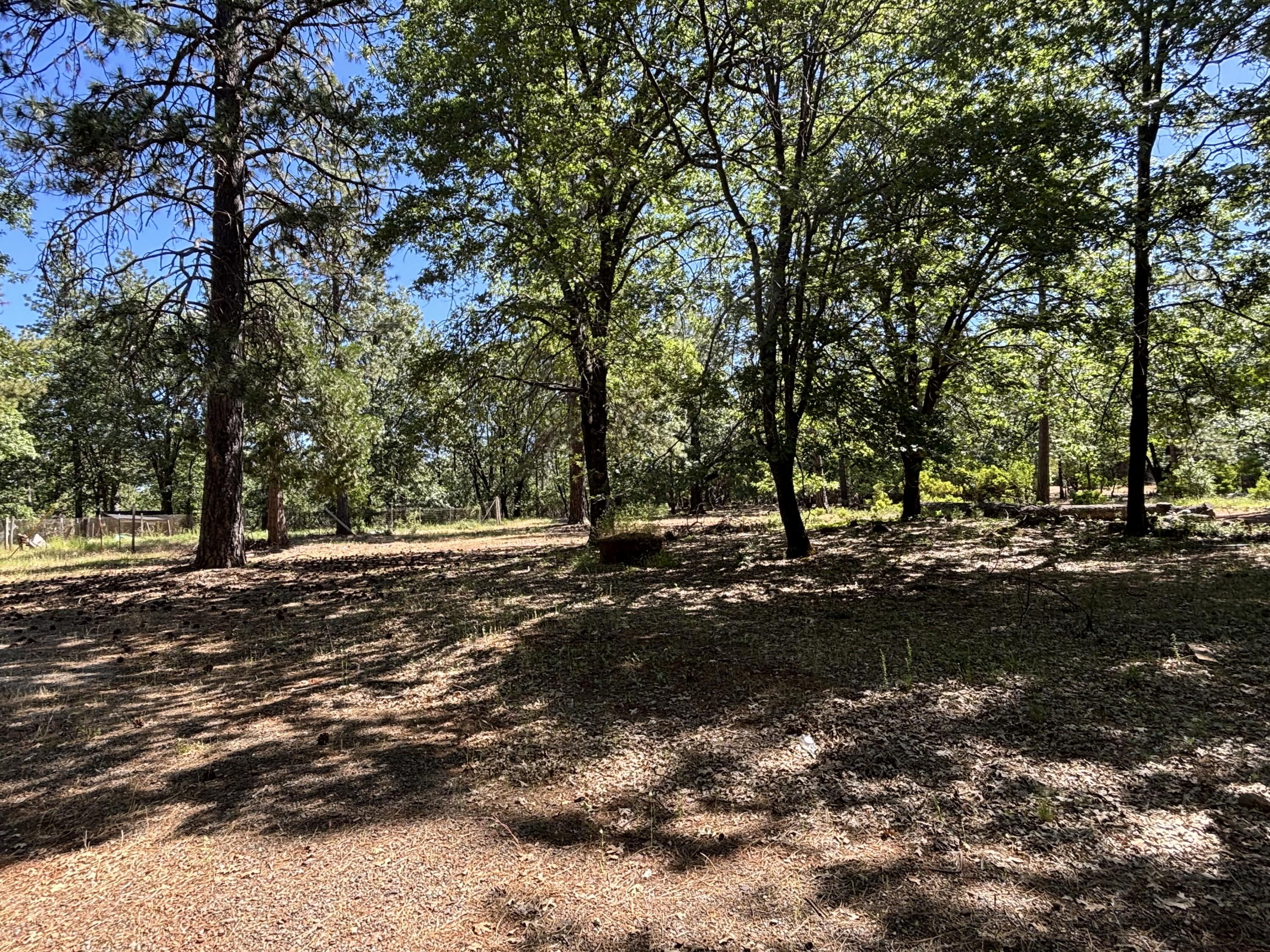 10473 Blue Mountain Ranch Road Whitmore, CA 96096 - Photo 18 of 20 IMG_5088