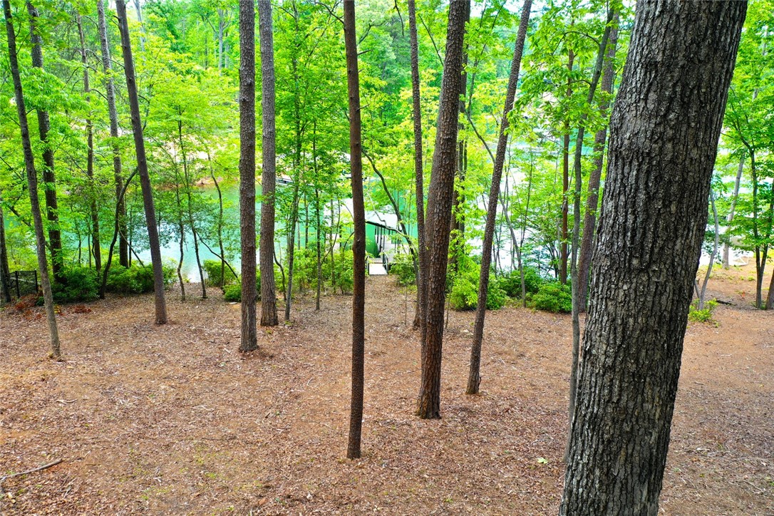 Lot 114 Harbor Point Seneca, SC 29672 - Photo 7 of 46 This serene wooded lot offers direct access to a tranquil lake, perfect for a private dock.