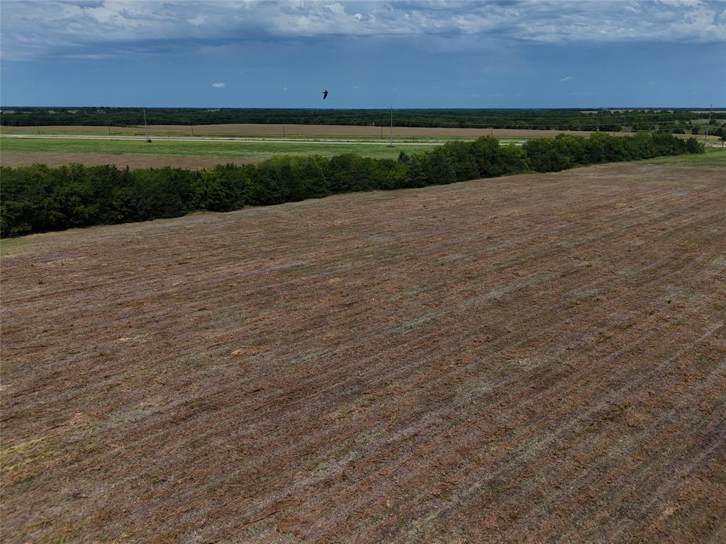 28500 West Kaufman Avenue Cooper, TX 75432 - Photo 5 of 15