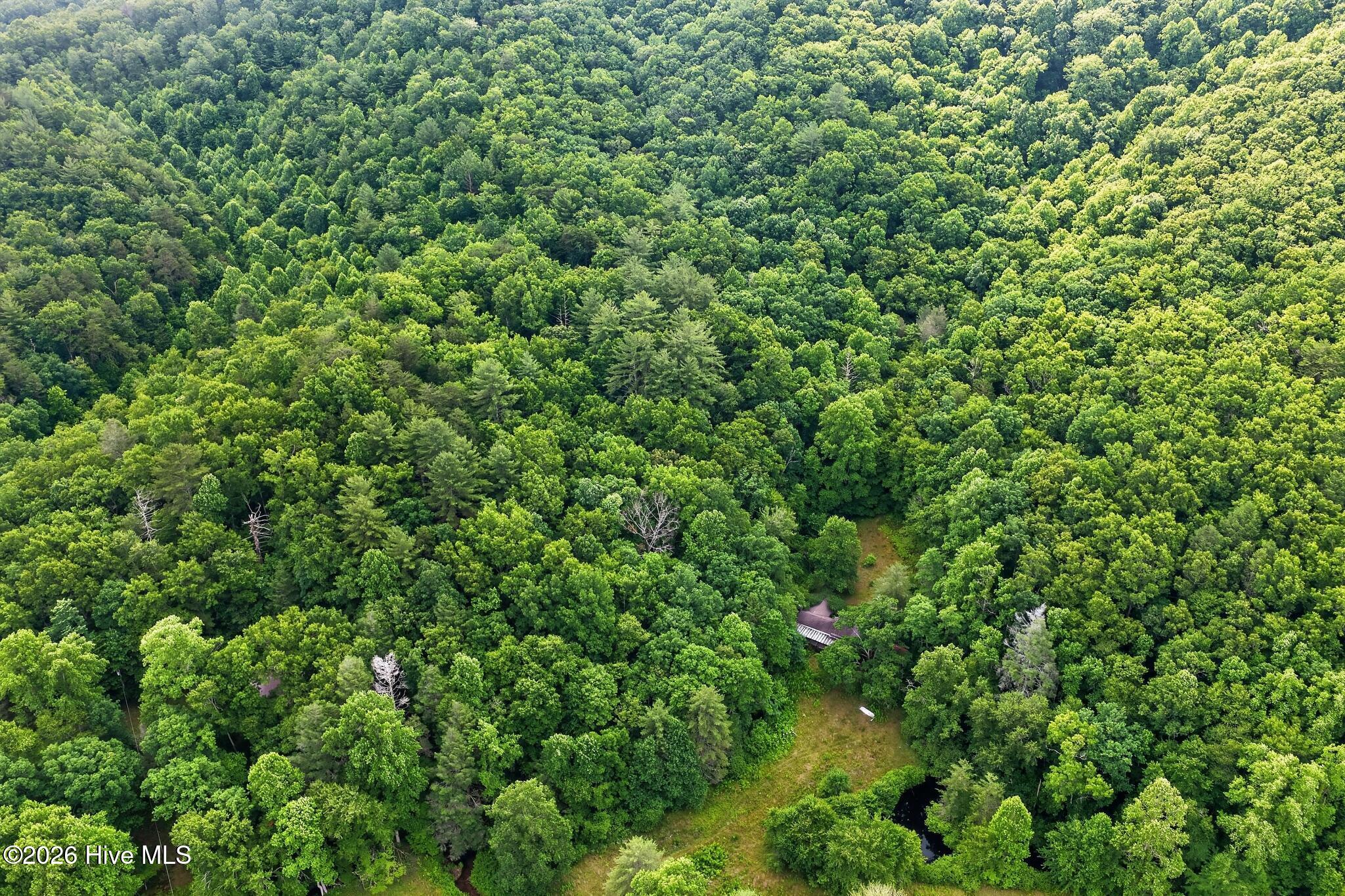 1881 Shoal Creek Road Murphy, NC 28906 - Photo 5 of 18