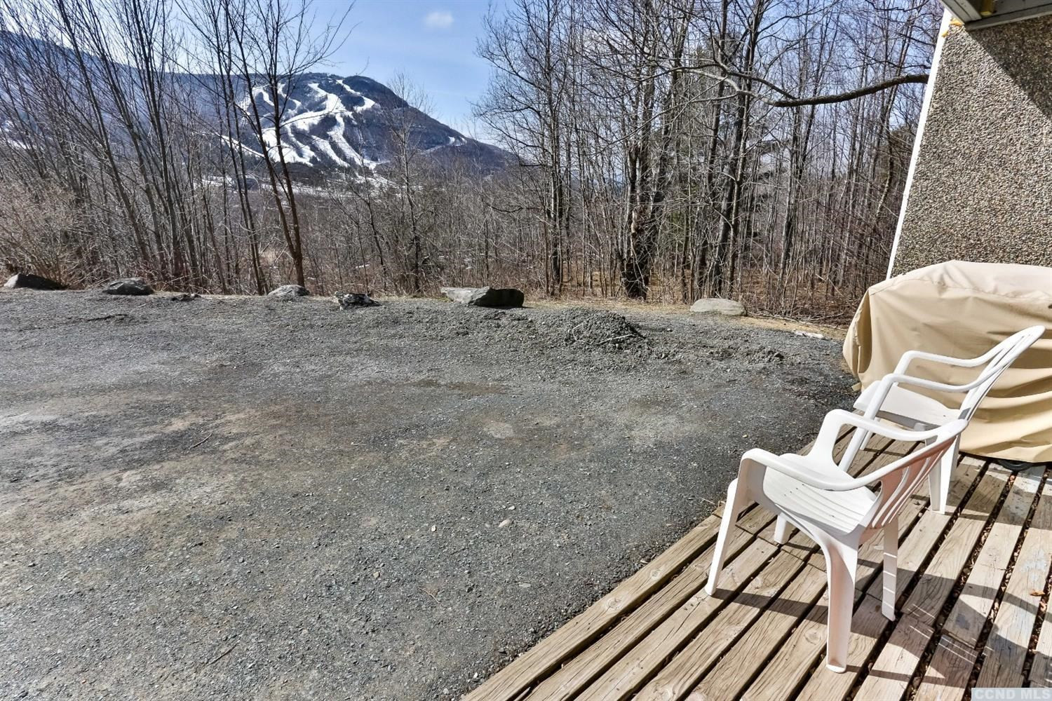 13 Scribner Hollow Road, Unit B1 Hunter, NY 12442 - Photo 32 of 37 a view of backyard with a table and chairs
