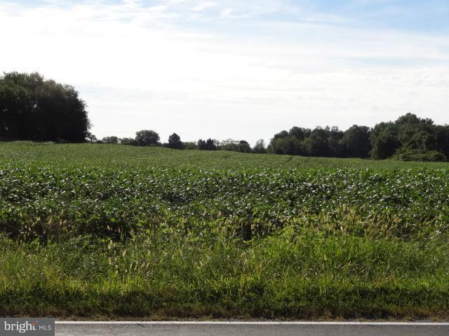 48386 Villa Road St. Inigoes, MD 20684 - Photo 2 of 7 a view of a lush green field