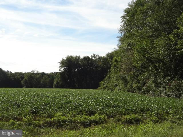 48386 Villa Road St. Inigoes, MD 20684 - Photo 4 of 7 a view of a grassy field with trees
