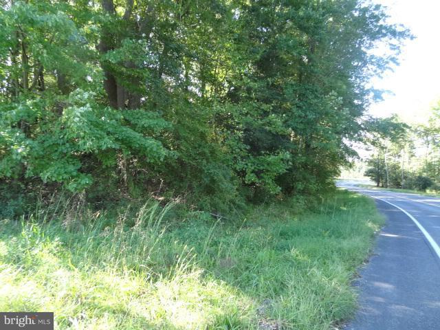 48386 Villa Road St. Inigoes, MD 20684 - Photo 5 of 7 a view of a lush green space