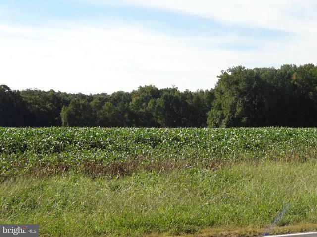 48386 Villa Road St. Inigoes, MD 20684 - Photo 6 of 7 a view of a lush green field