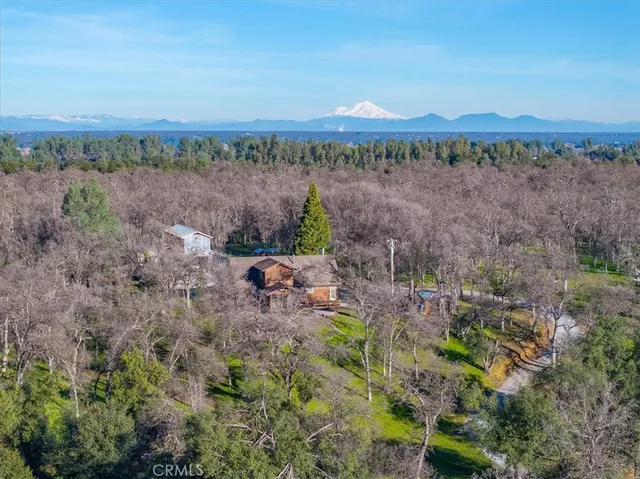 a view of a house with backyard and porch