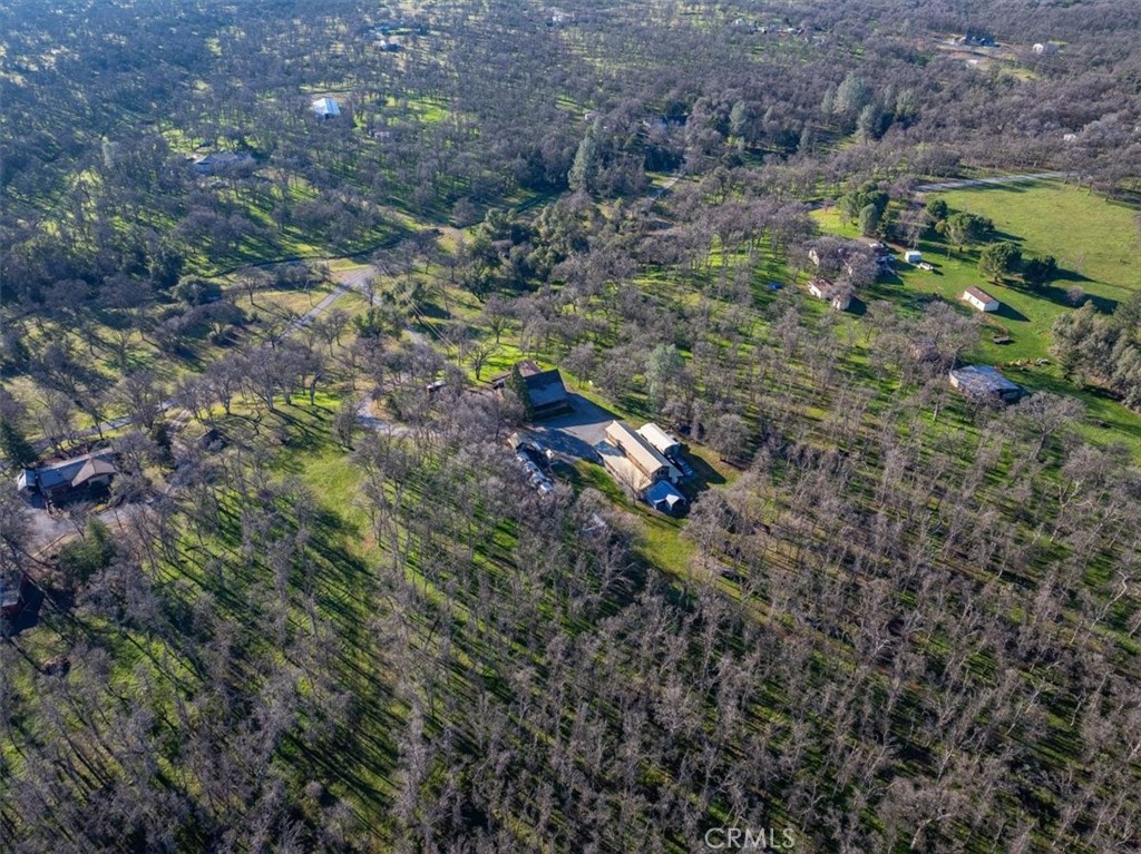 18810 Phyllis Road Cottonwood, CA 96022 - Photo 45 of 71 a view of a forest with a tree