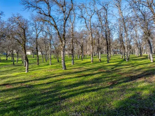 a view of a backyard with table and chairs and a barbeque