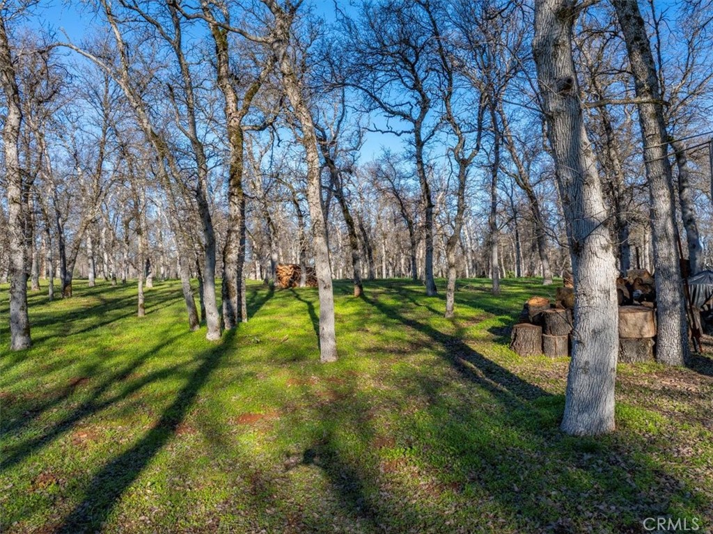 18810 Phyllis Road Cottonwood, CA 96022 - Photo 50 of 71 a view of a backyard with swimming pool