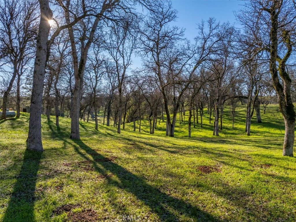 18810 Phyllis Road Cottonwood, CA 96022 - Photo 51 of 71 a view of a park with large trees