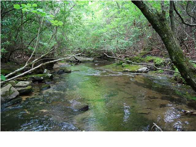 0 Greenfield Road Spencer, TN 38585 - Photo 1 of 23 Primary Photo