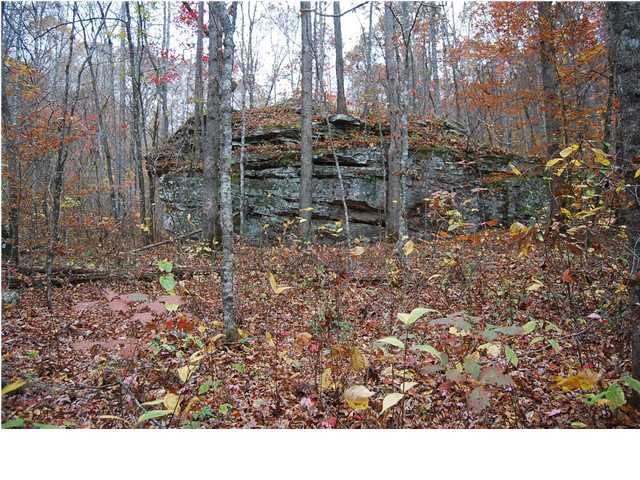 0 Greenfield Road Spencer, TN 38585 - Photo 11 of 23 Additional Photo