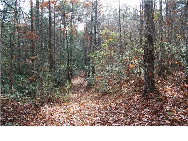 0 Greenfield Road Spencer, TN 38585 - Photo 17 of 23 Additional Photo
