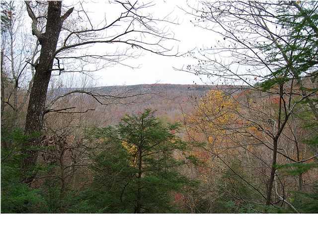0 Greenfield Road Spencer, TN 38585 - Photo 20 of 23 Additional Photo