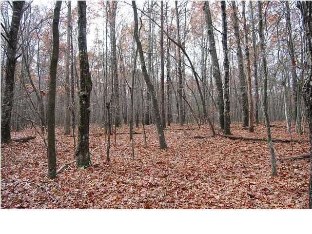 0 Greenfield Road Spencer, TN 38585 - Photo 21 of 23 Additional Photo