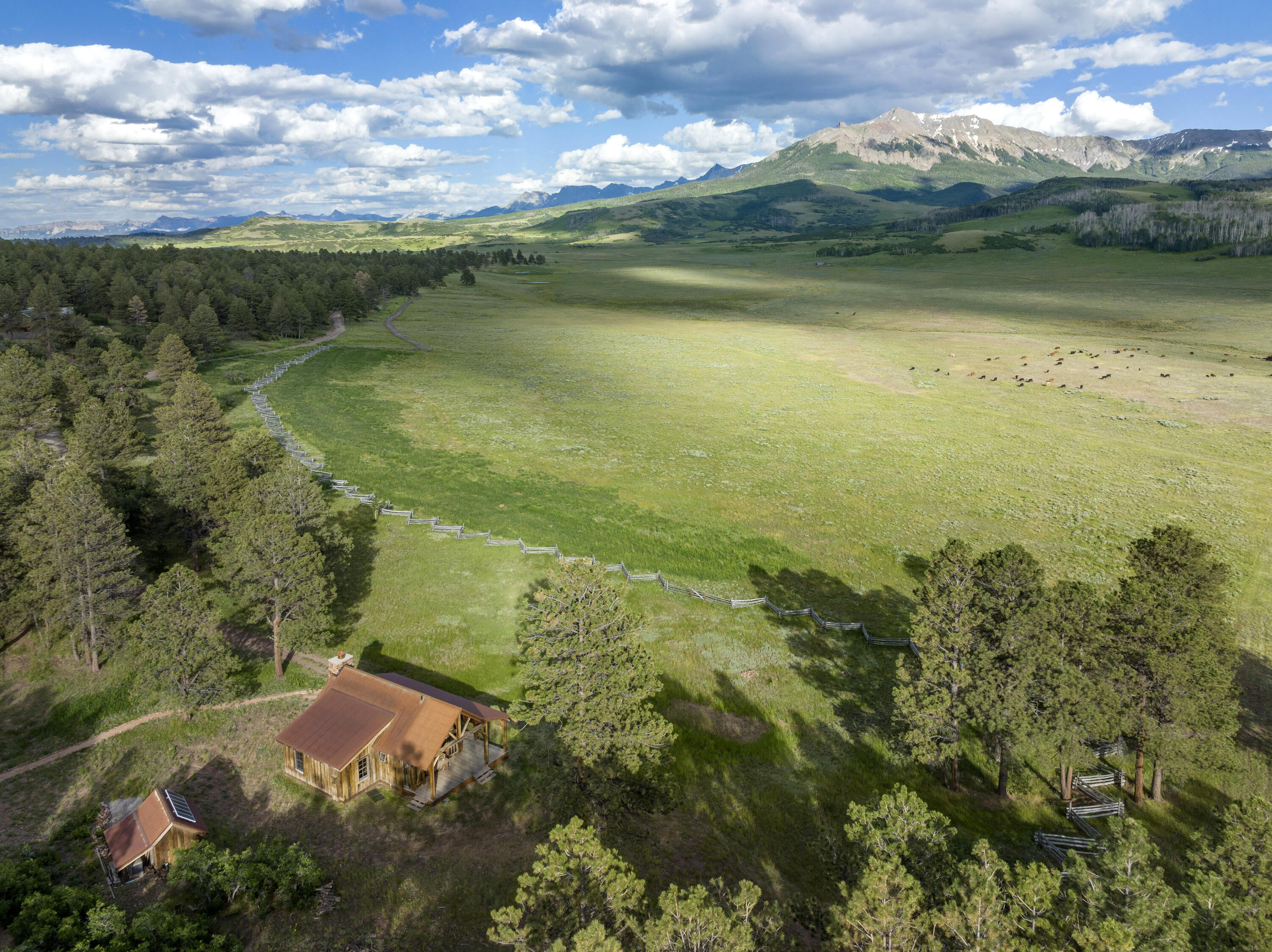 1541 County Road Placerville, CO 81430 - Photo 31 of 37 CabinPasture - 1