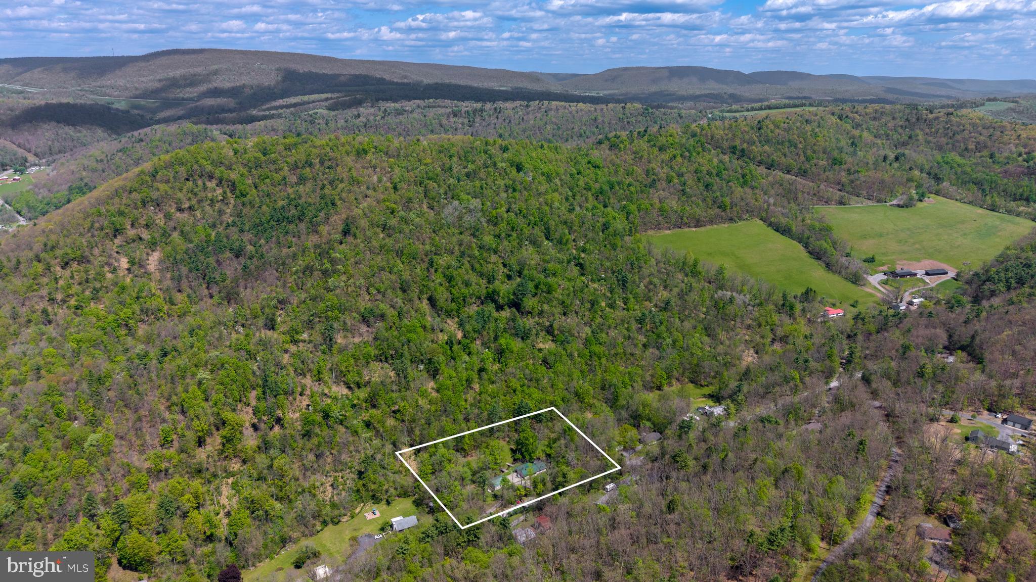243 Lucas Road Bellefonte, PA 16823 - Photo 31 of 32 a view of a field with a forest