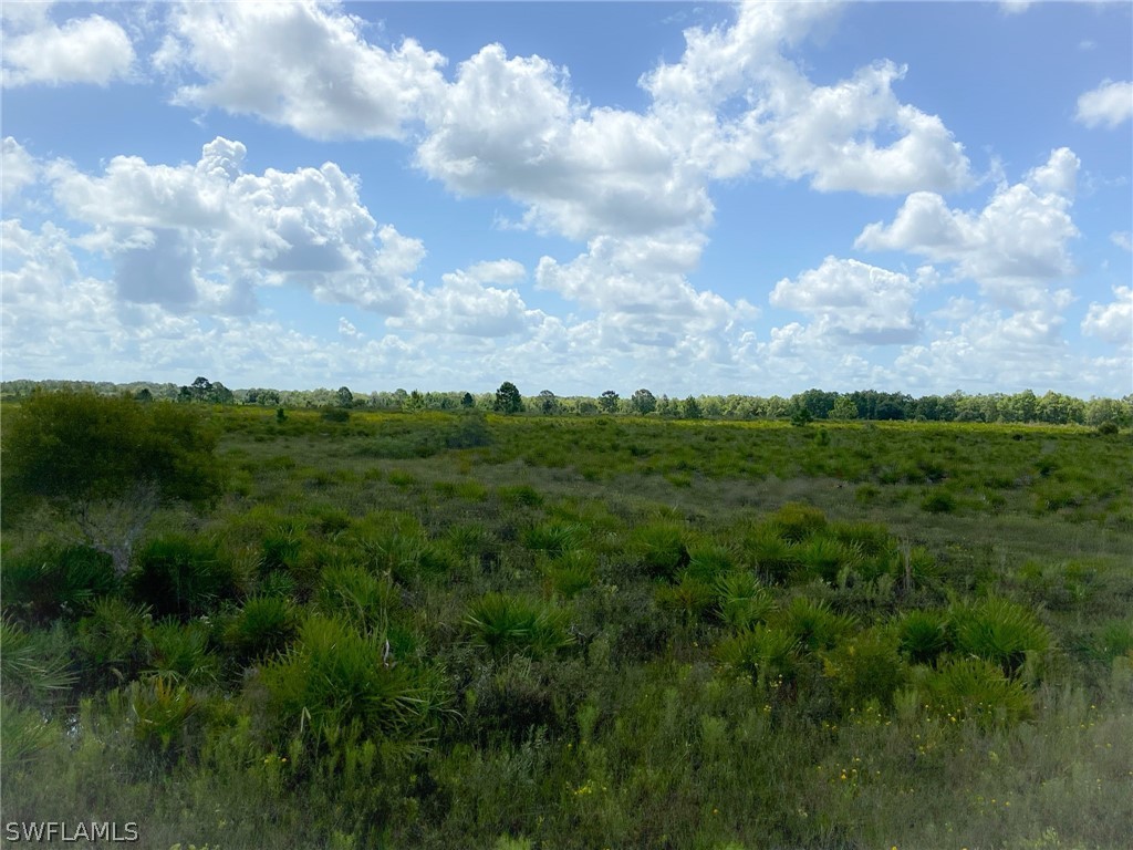 49631 Bermont Road Punta Gorda, FL 33982 - Photo 1 of 23 Gallery Image 1