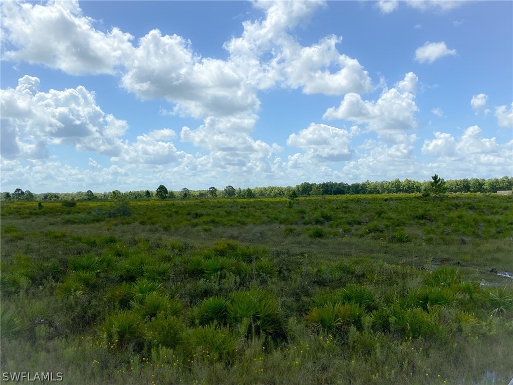 49631 Bermont Road Punta Gorda, FL 33982 - Photo 2 of 23 Gallery Image 2
