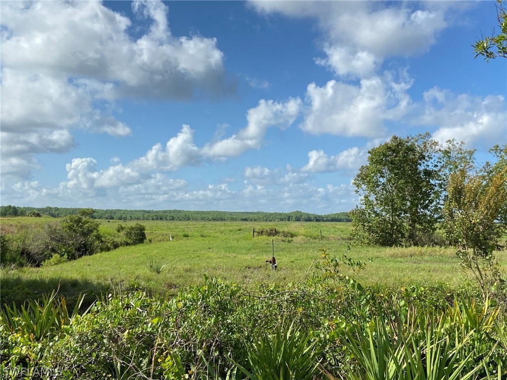 49631 Bermont Road Punta Gorda, FL 33982 - Photo 4 of 23 Gallery Image 4