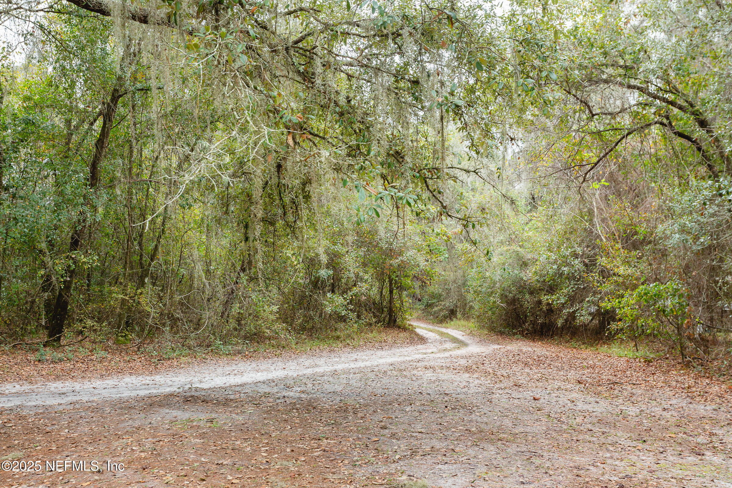 147 Homestead Road Palatka, FL 32177 - Photo 22 of 24 Driveway