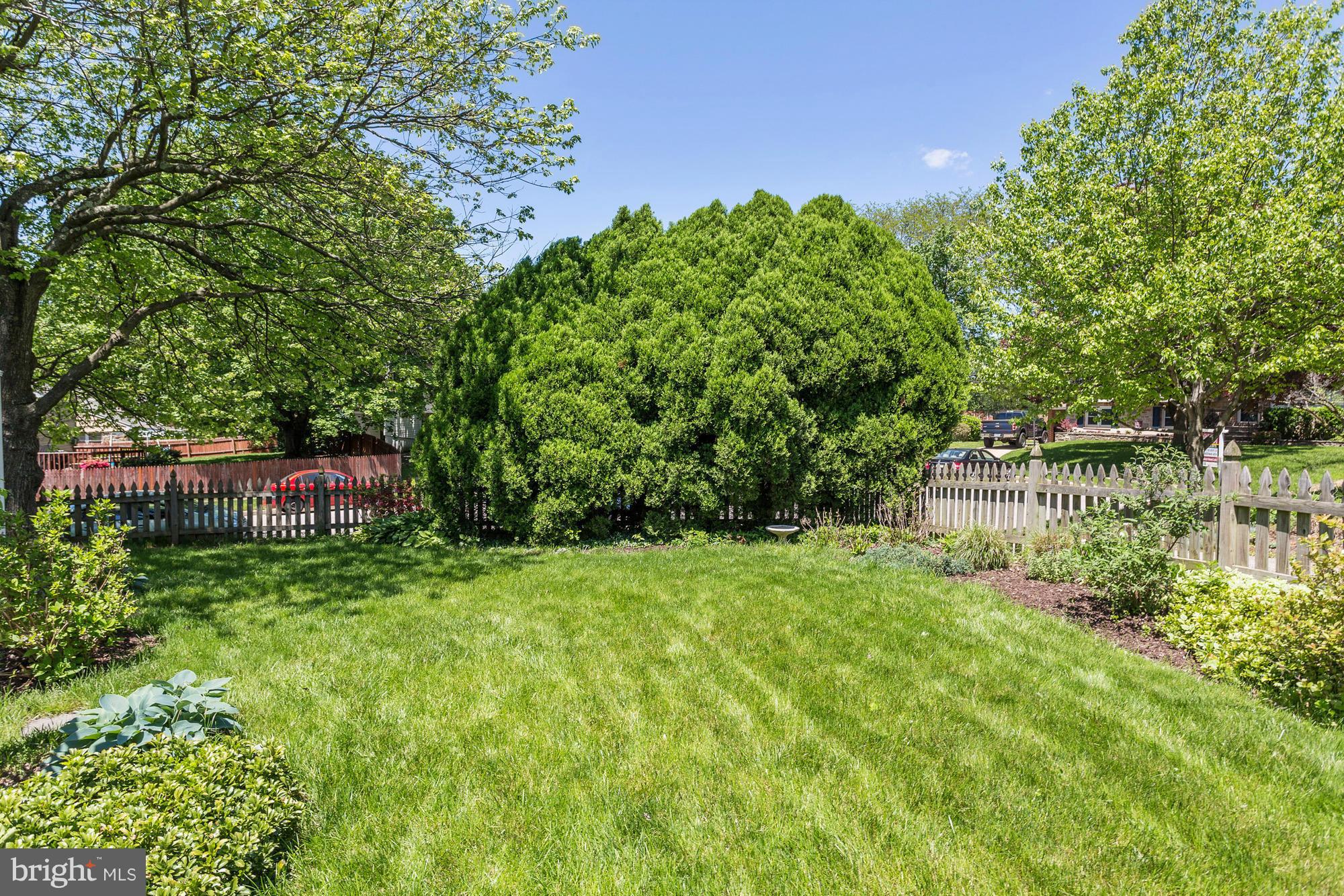 320 Aigburth Road Baltimore, MD 21286 - Photo 24 of 26 Backyard