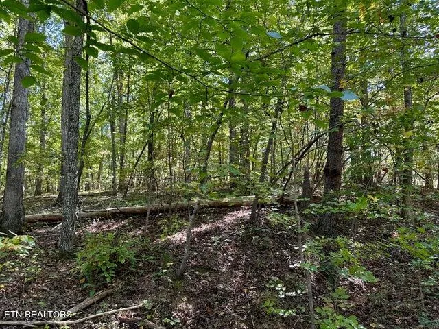 $24,000 | Lot 412 Smith Rd Spring, Spring City, TN 37381