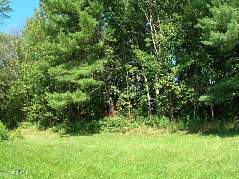 Lot 7 660th Route Wellsboro, PA 16901 - Photo 1 of 7 Main Photo