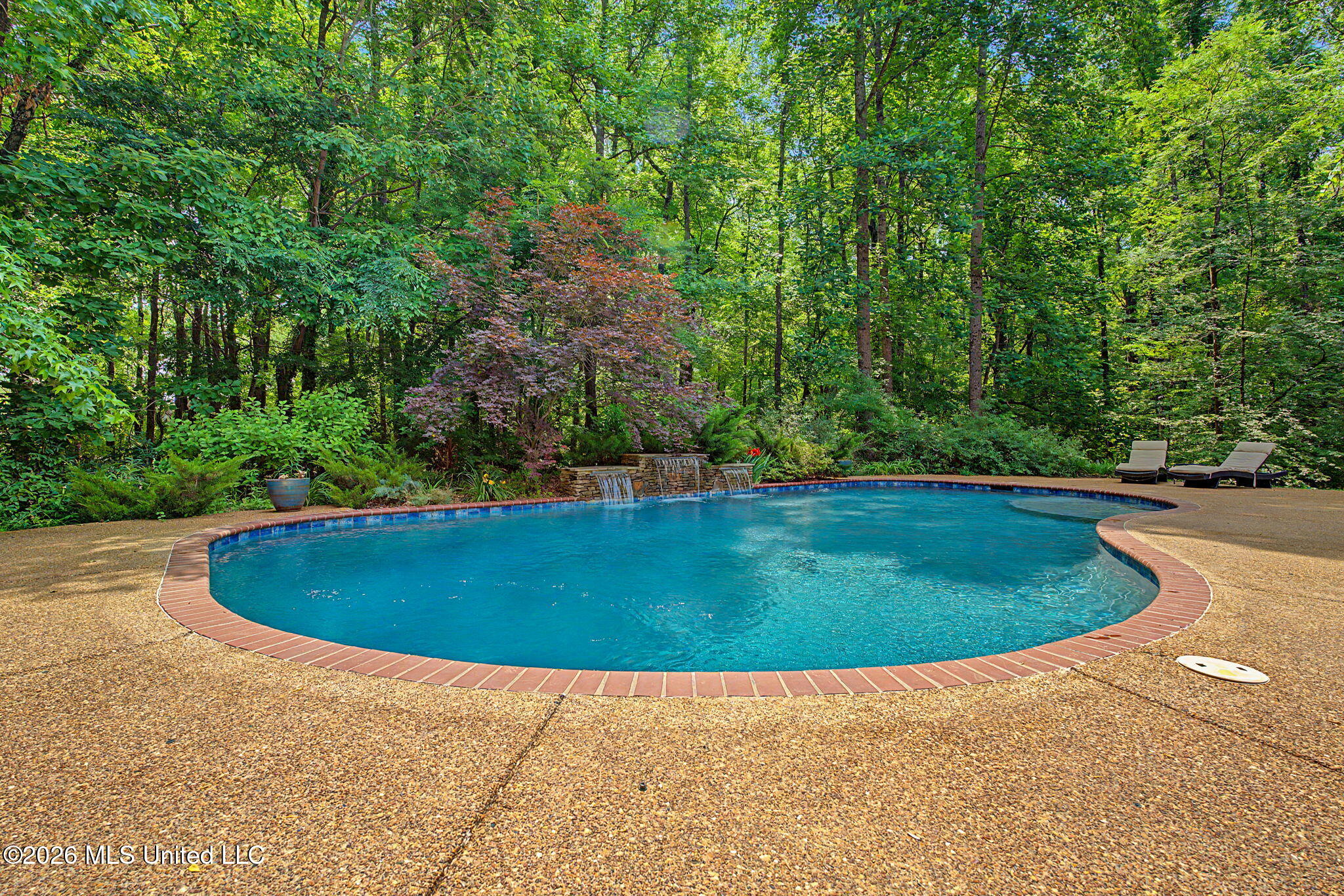 8 Crockett Loop Hernando, MS 38632 - Photo 41 of 50 Backyard Oasis