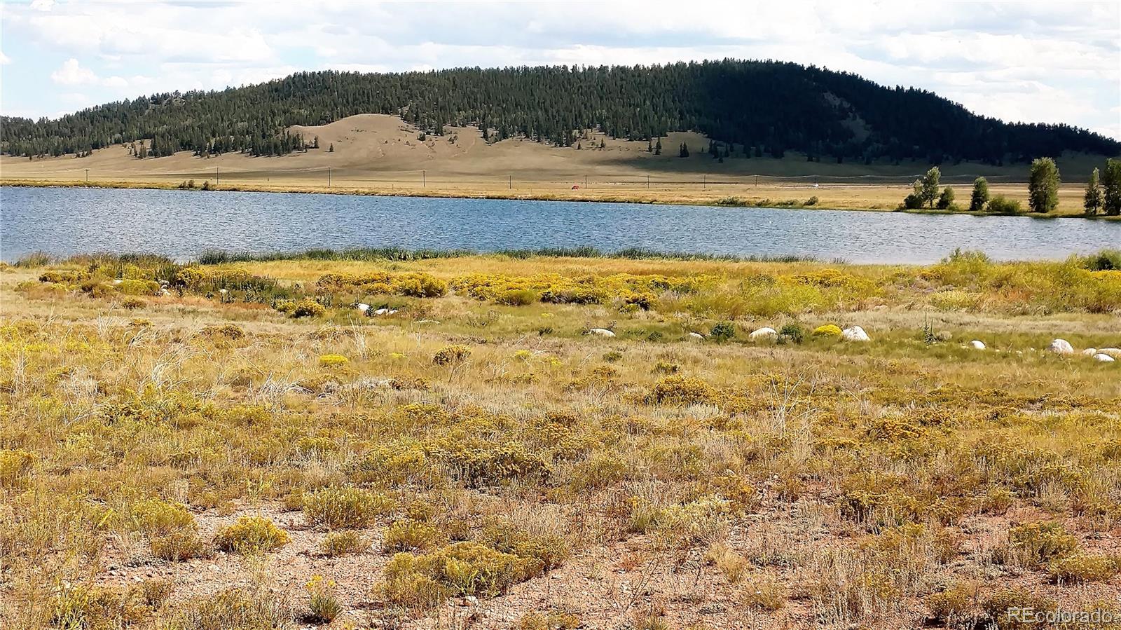 425 Forge Road Hartsel, CO 80449 - Photo 17 of 18 a view of lake and mountain
