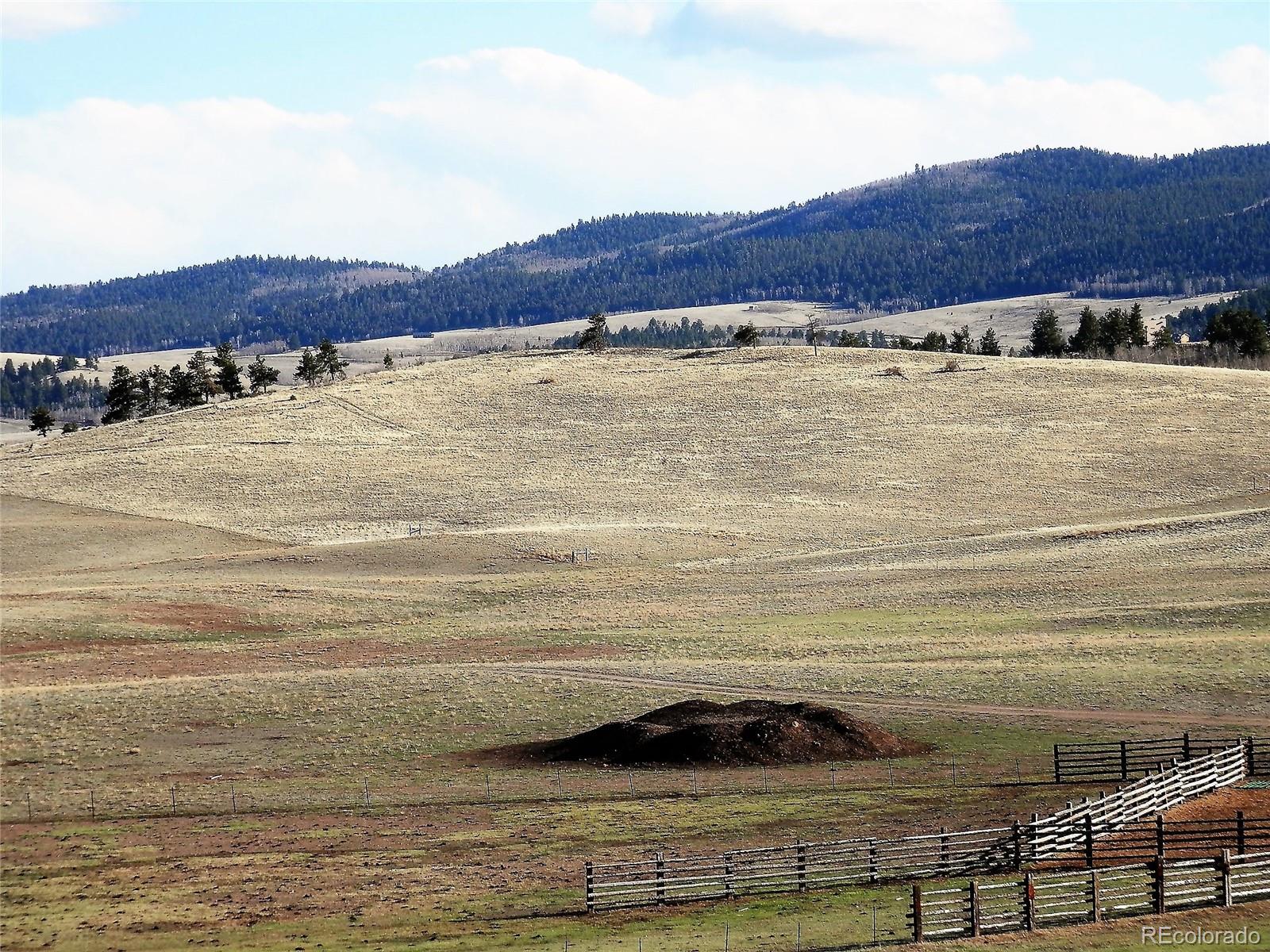 425 Forge Road Hartsel, CO 80449 - Photo 10 of 18 a view of a lake and mountain