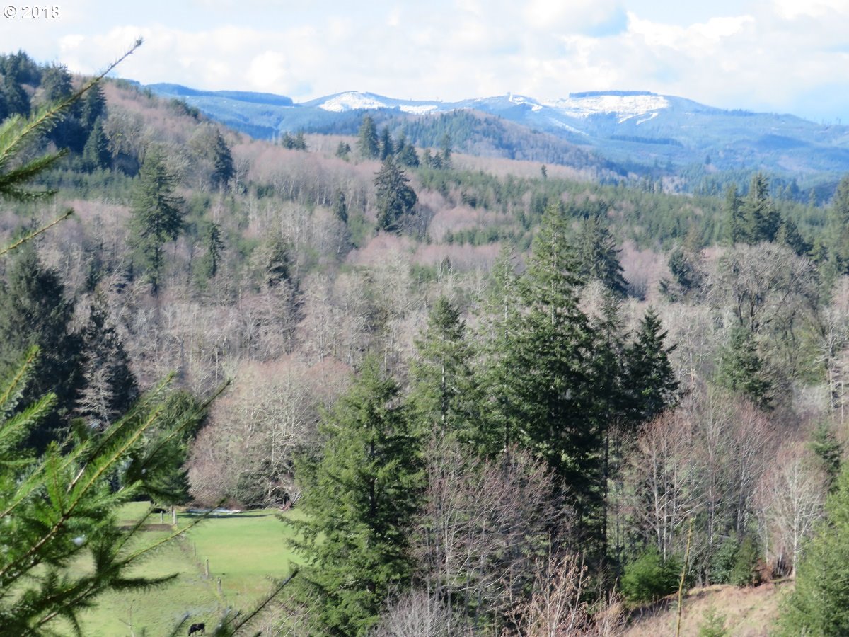 Skees Road, Unit 28 Raymond, WA 98577 - Photo 1 of 32 Gallery Image 1