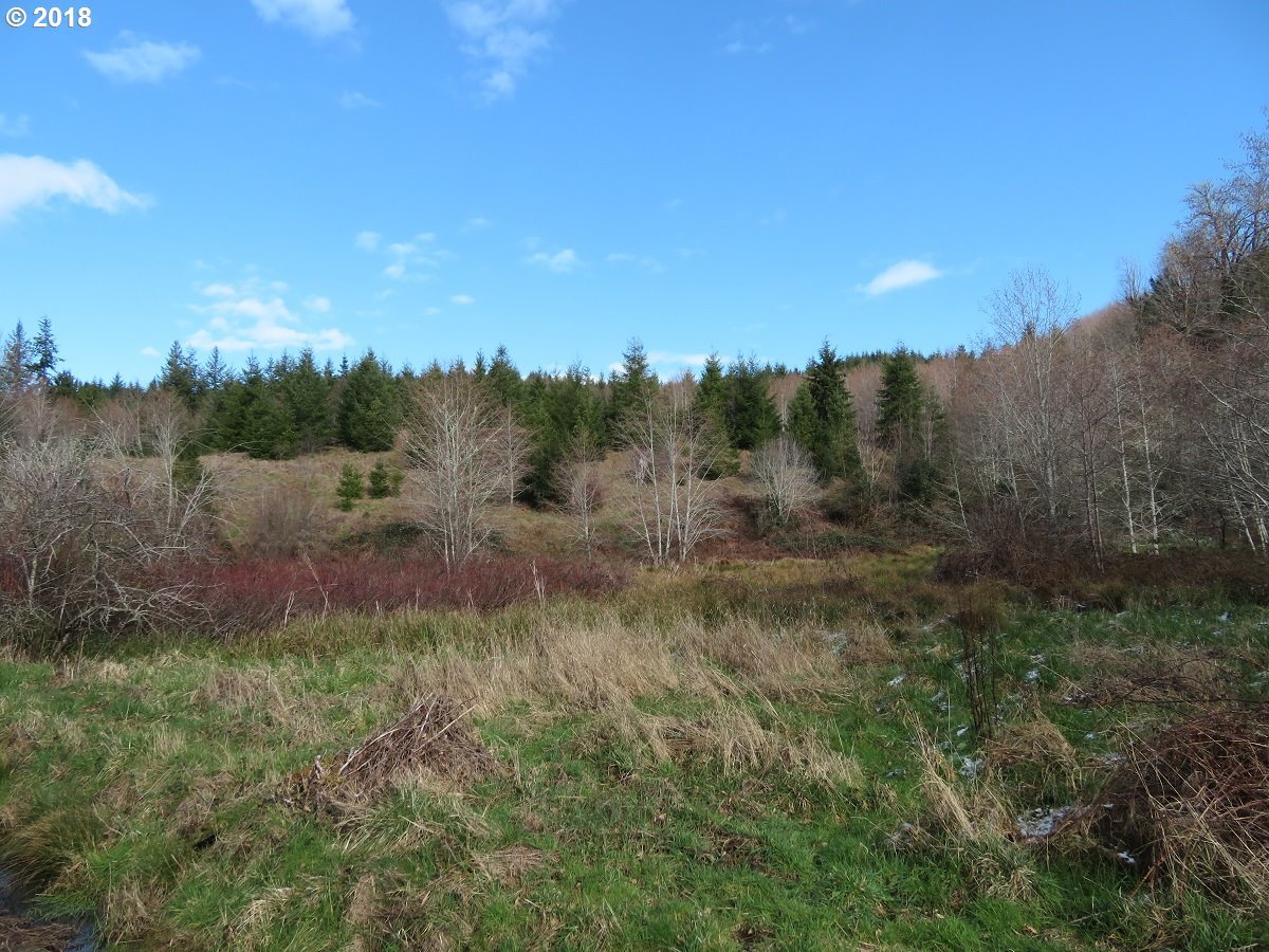 Skees Road, Unit 28 Raymond, WA 98577 - Photo 11 of 32 Gallery Image 11