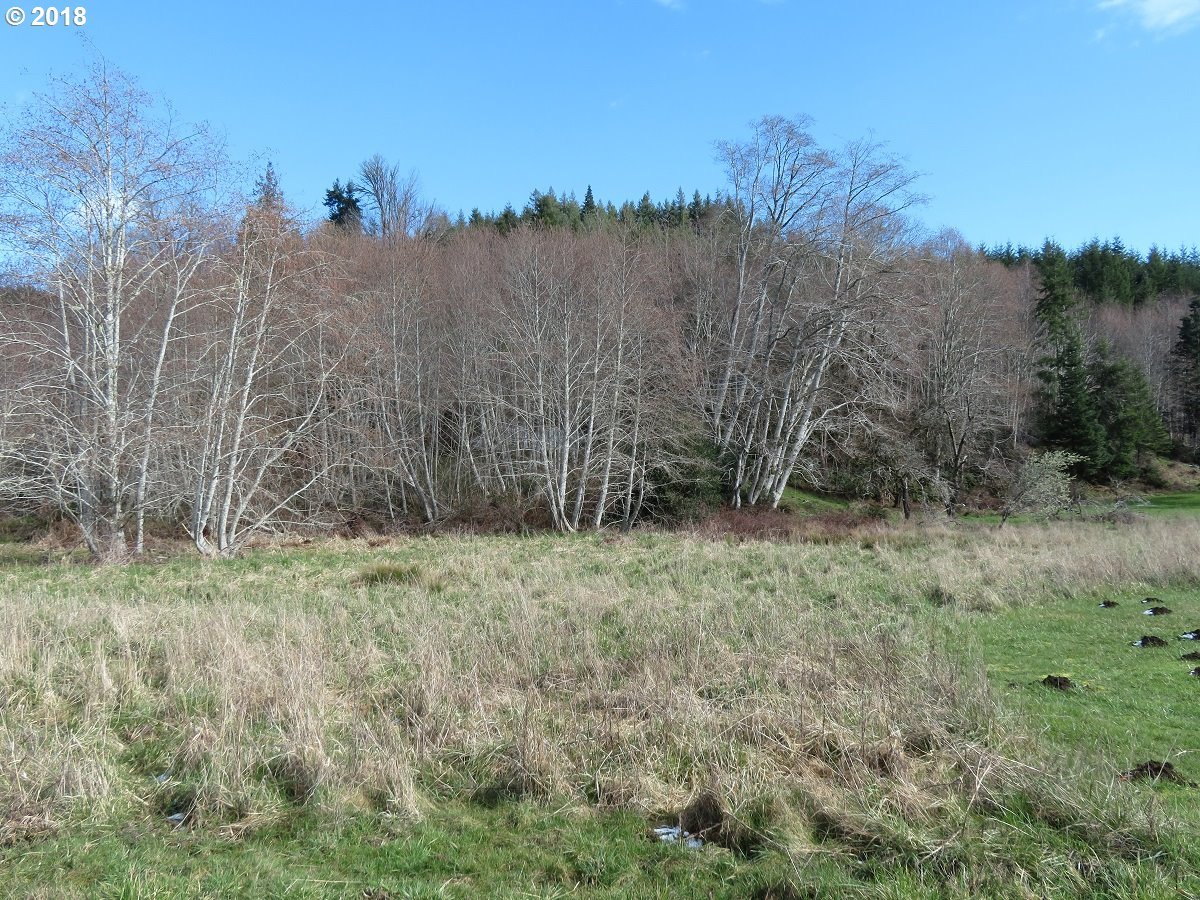 Skees Road, Unit 28 Raymond, WA 98577 - Photo 15 of 32 Gallery Image 15