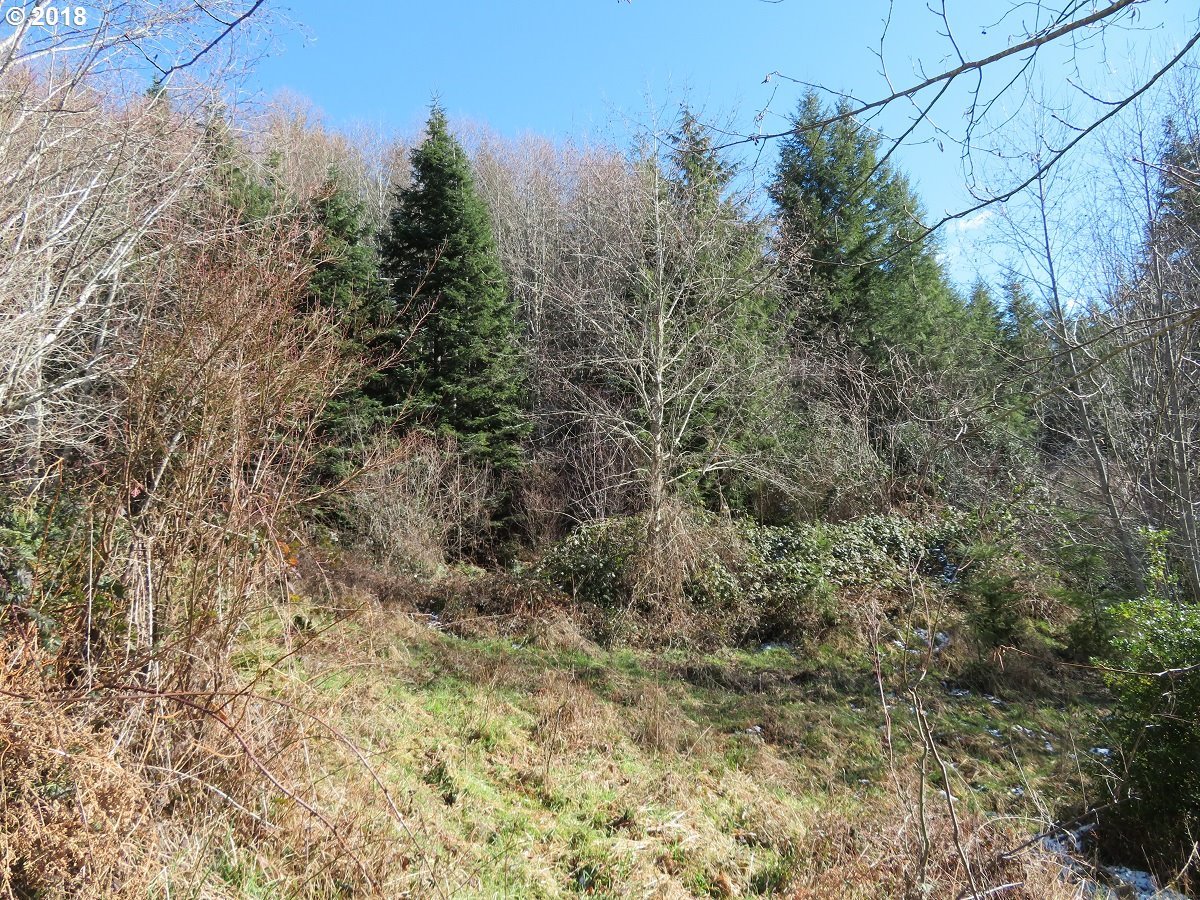Skees Road, Unit 28 Raymond, WA 98577 - Photo 20 of 32 Gallery Image 20