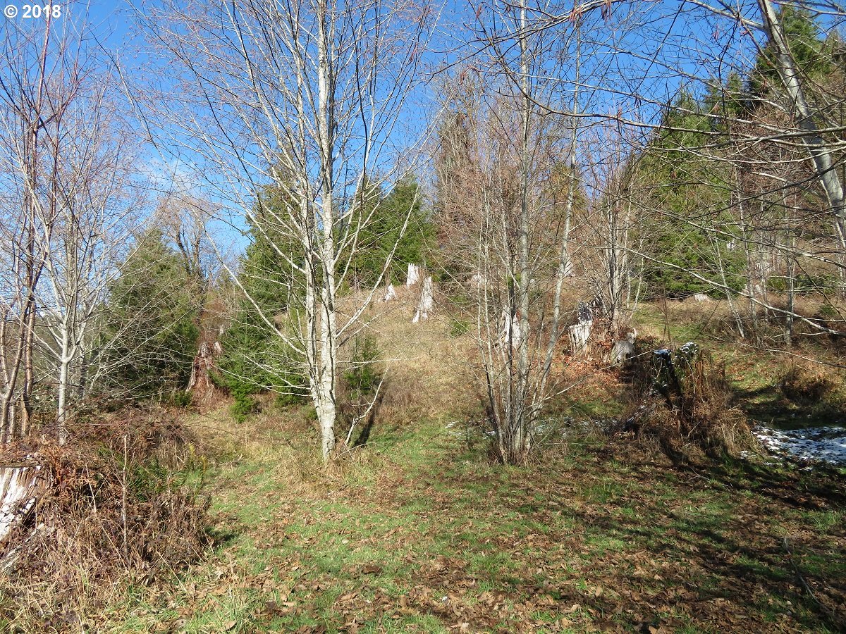 Skees Road, Unit 28 Raymond, WA 98577 - Photo 21 of 32 Gallery Image 21