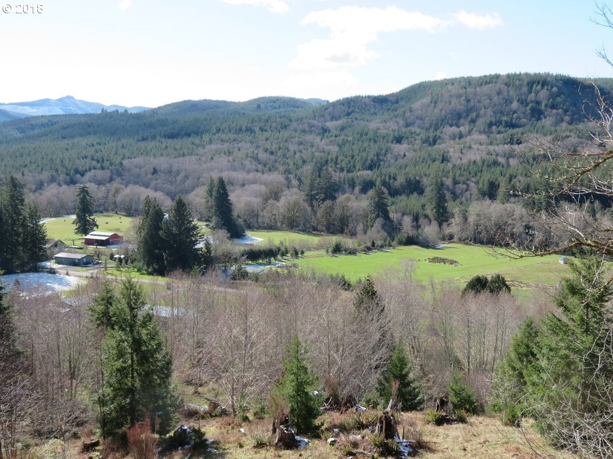 Skees Road, Unit 28 Raymond, WA 98577 - Photo 24 of 32 Gallery Image 24