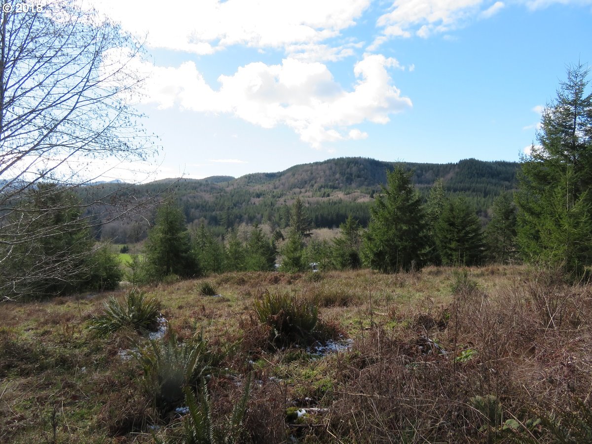 Skees Road, Unit 28 Raymond, WA 98577 - Photo 27 of 32 Gallery Image 27