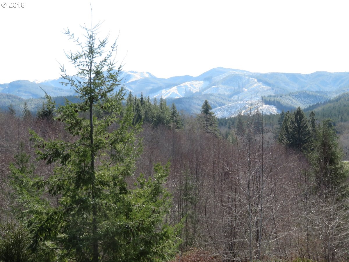Skees Road, Unit 28 Raymond, WA 98577 - Photo 29 of 32 Gallery Image 29