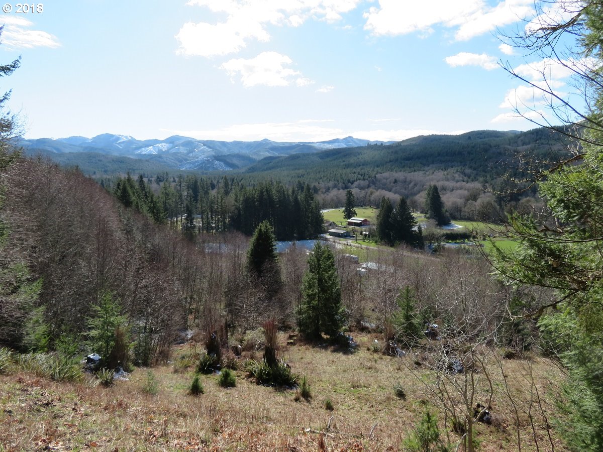 Skees Road, Unit 28 Raymond, WA 98577 - Photo 31 of 32 Gallery Image 31