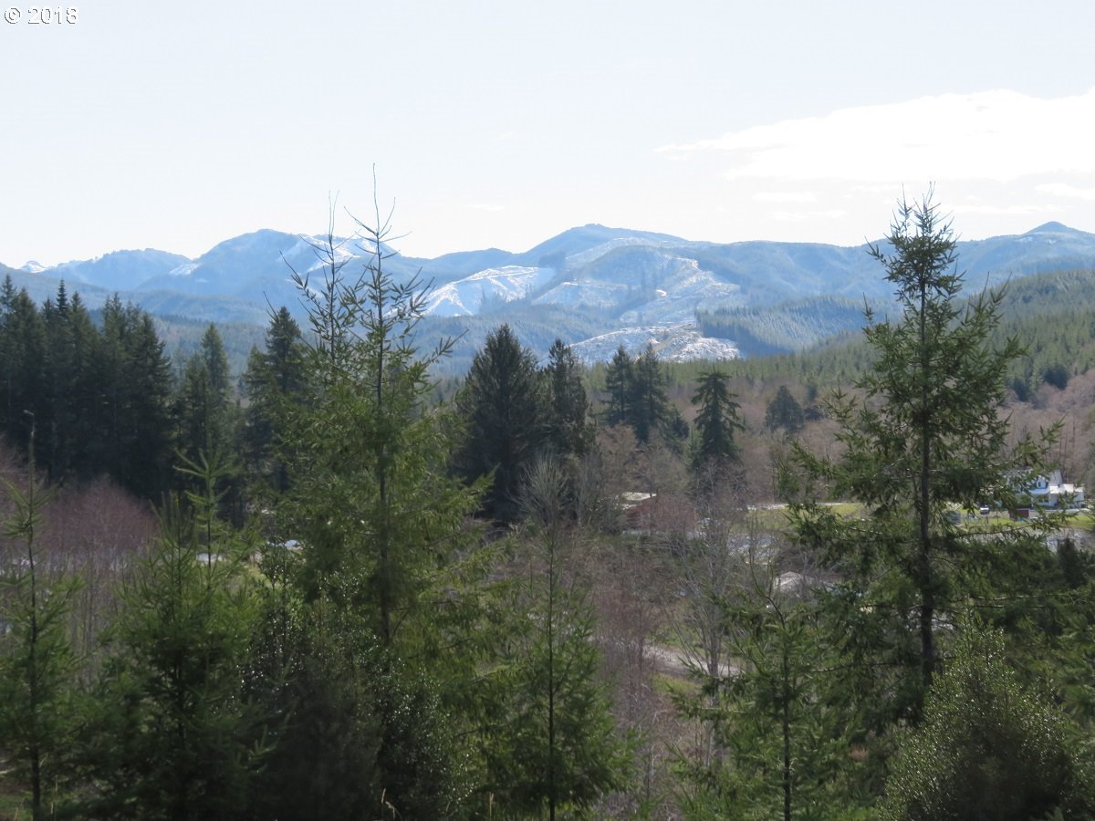Skees Road, Unit 28 Raymond, WA 98577 - Photo 32 of 32 Gallery Image 32