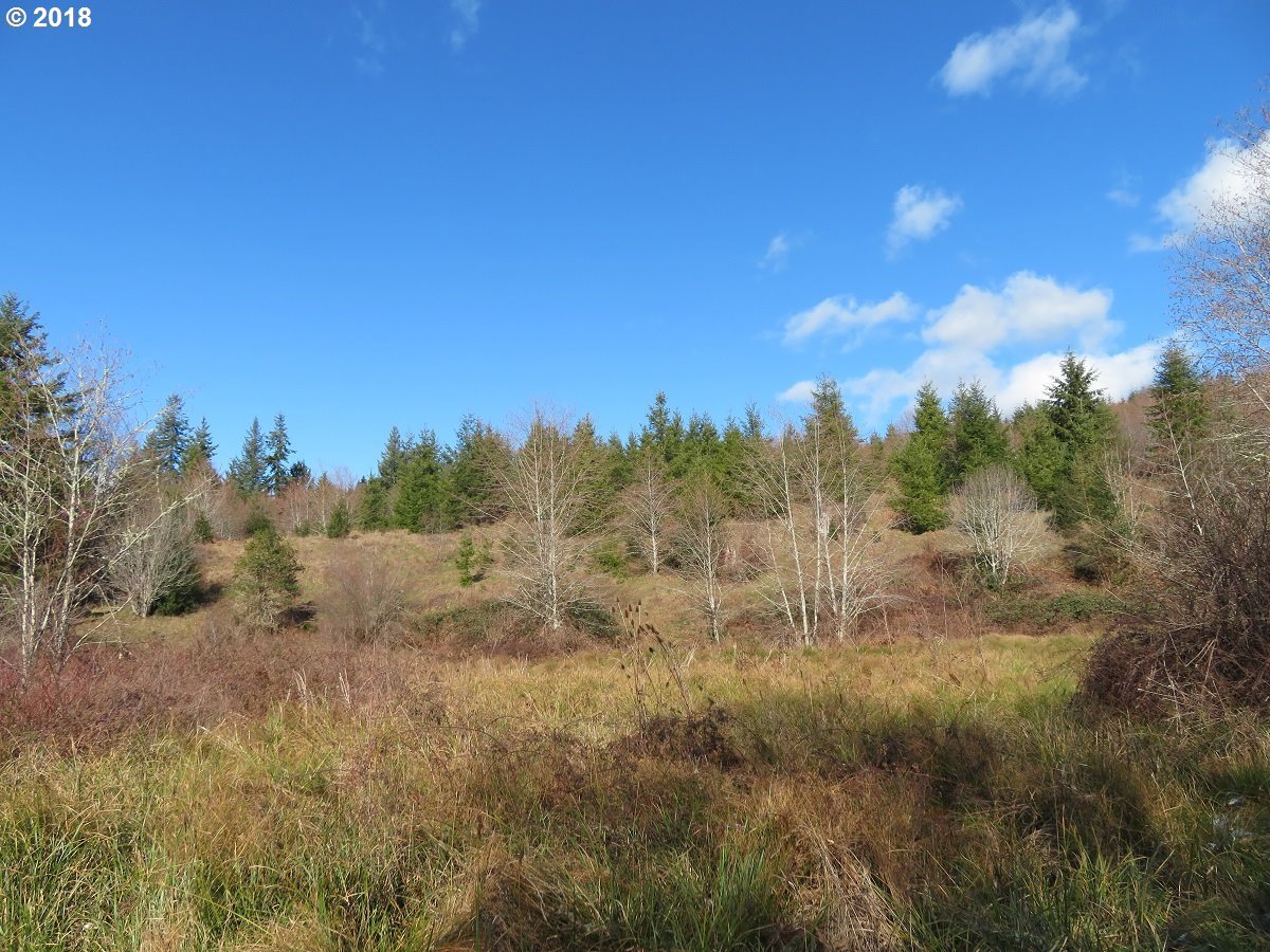 Skees Road, Unit 28 Raymond, WA 98577 - Photo 10 of 32 Gallery Image 10