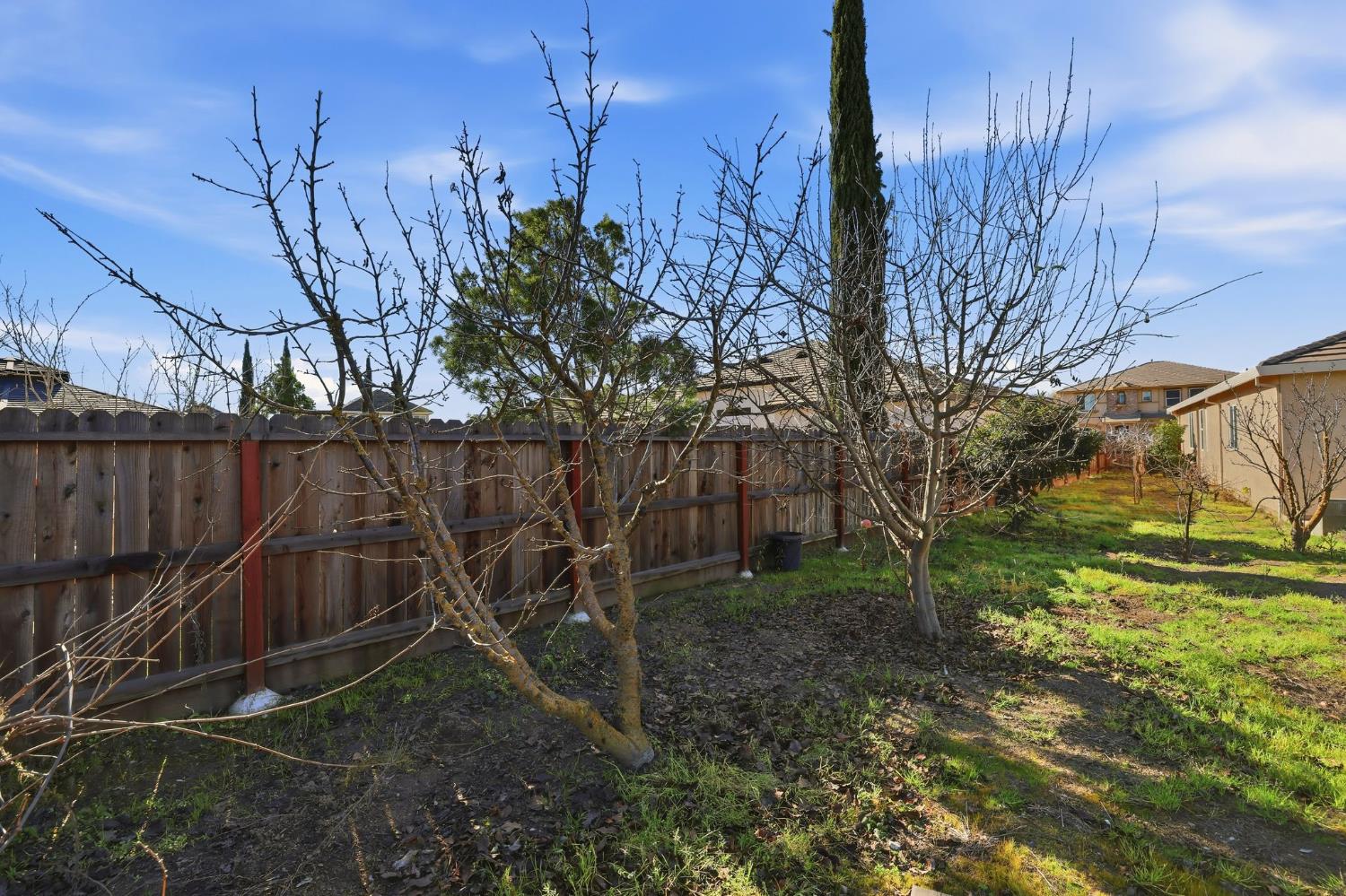 1730 Tasca Lane Manteca, CA 95337 - Photo 63 of 83 a backyard of a house with lots of green space