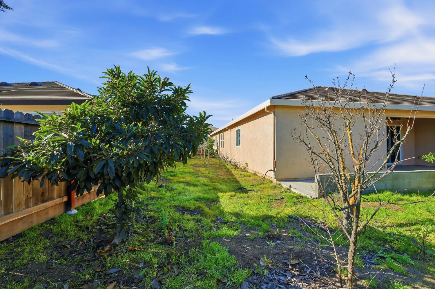 1730 Tasca Lane Manteca, CA 95337 - Photo 64 of 83 a view of a back yard of the house