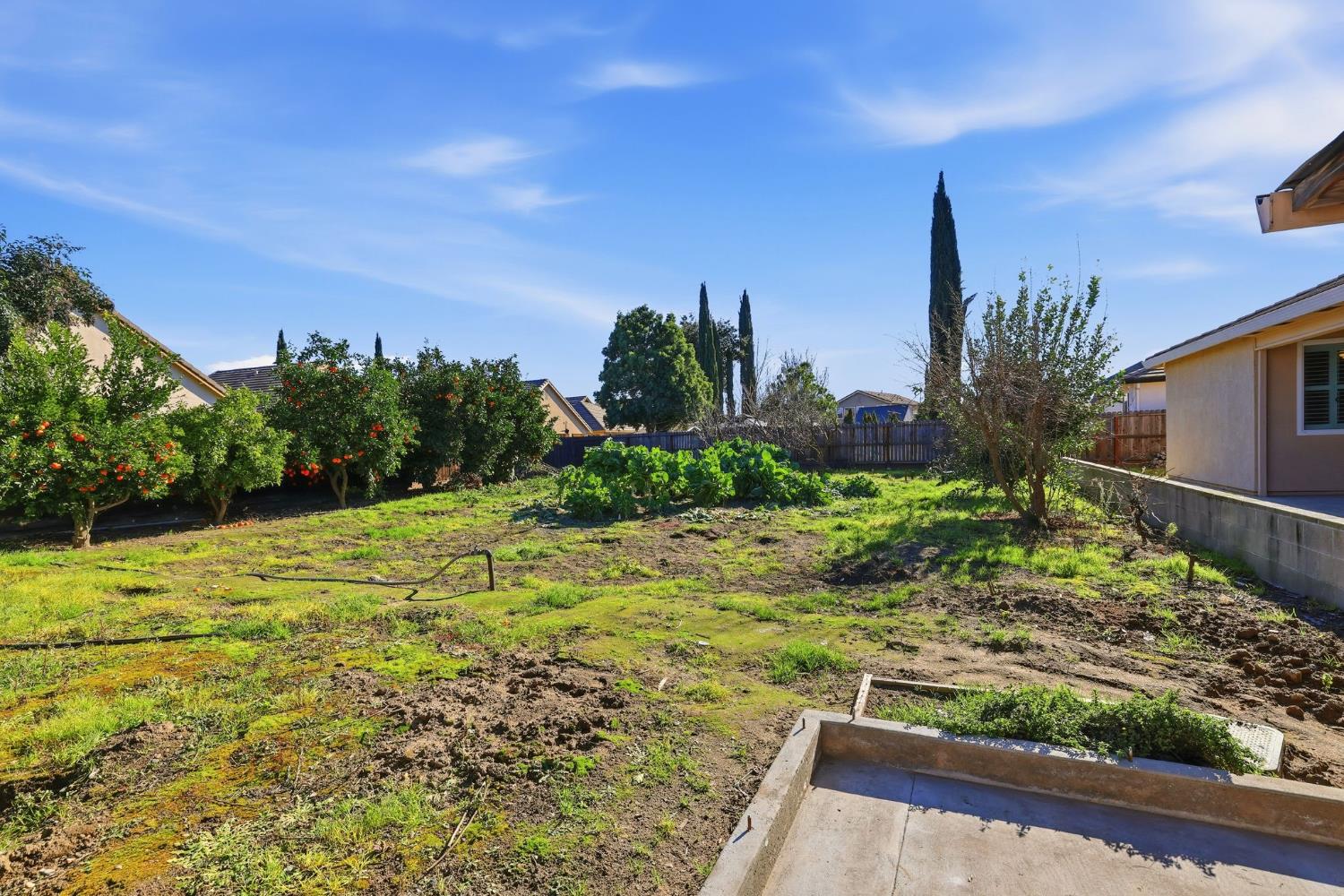 1730 Tasca Lane Manteca, CA 95337 - Photo 68 of 83 a view of a backyard of the house