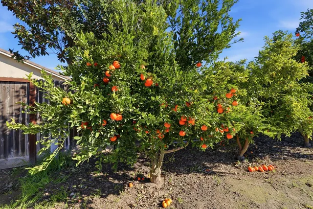 $775,000 | 1730 Tasca Lane, Manteca, CA 95337