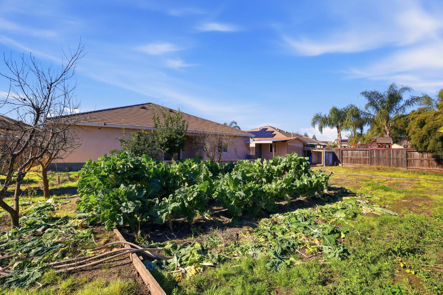 1730 Tasca Lane Manteca, CA 95337 - Photo 73 of 83 Garden of Greens