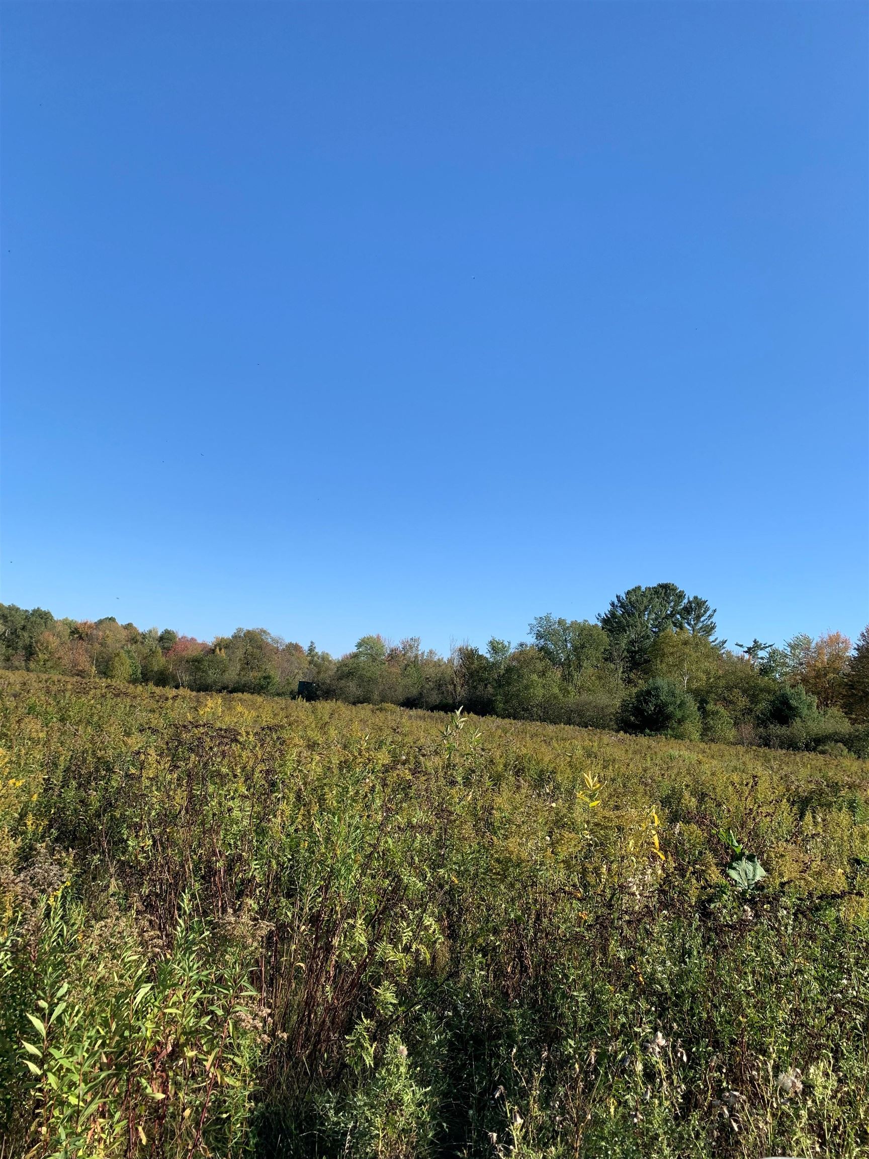 48.6-acres County Road West Merrill, WI 54452 - Photo 9 of 17